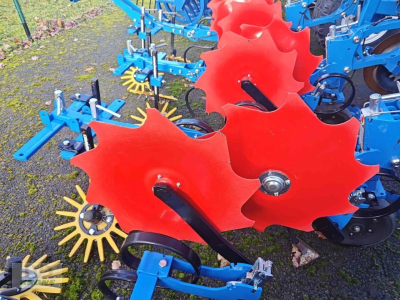 Striegeltechnik & Hacktechnik типа Carré Econet SGI 8 Reihen, Gebrauchtmaschine в Spelle (Фотография 12)