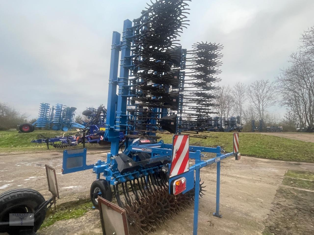 Striegeltechnik & Hacktechnik Türe ait Carré Rotanet Control 6,5, Gebrauchtmaschine içinde Pragsdorf (resim 4)