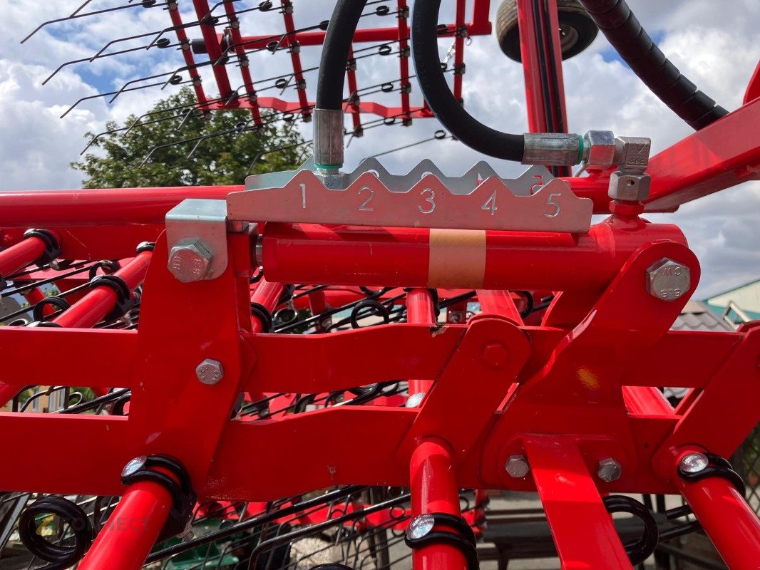 Striegeltechnik & Hacktechnik типа Einböck Aerostar-Classic 900, Gebrauchtmaschine в Gerichshain (Фотография 6)