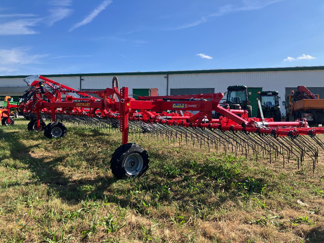 Striegeltechnik & Hacktechnik of the type Einböck Aerostar-Exact 1200, Neumaschine in Sonnewalde (Picture 3)