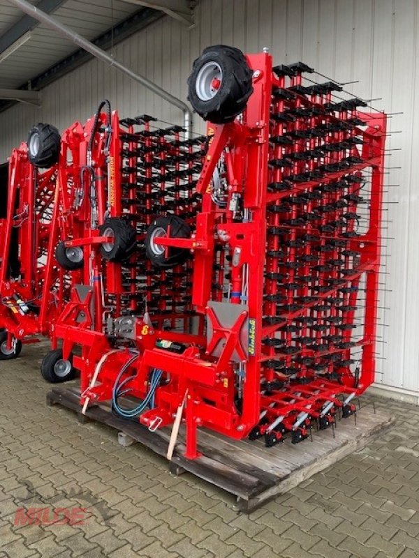 Striegeltechnik & Hacktechnik van het type Einböck Aerostar-Fusion 1200, Neumaschine in Elsteraue-Bornitz (Foto 2)