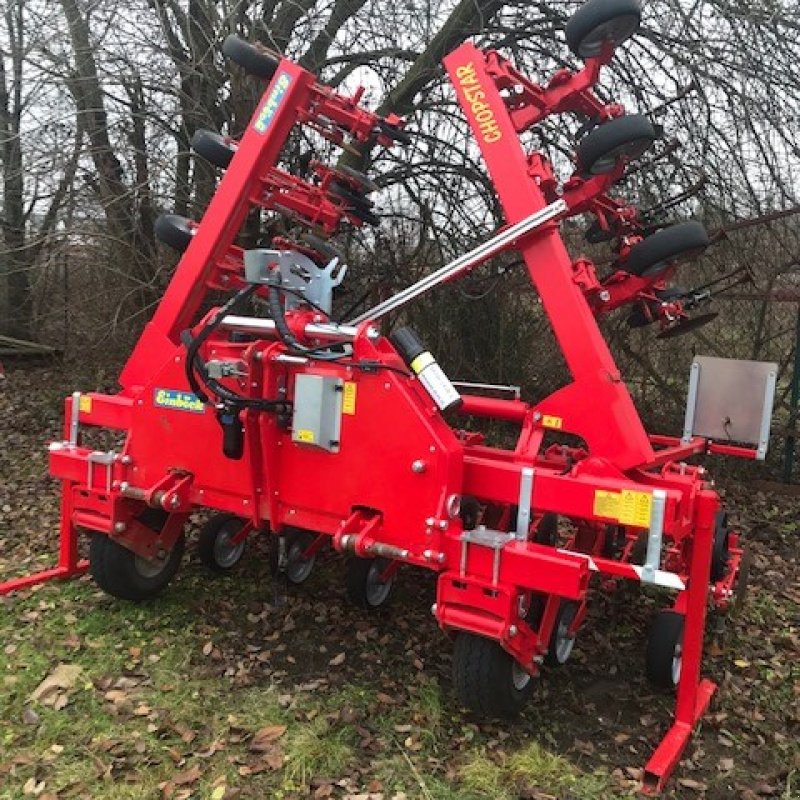 Striegeltechnik & Hacktechnik of the type Einböck Chopstar, Gebrauchtmaschine in Diemelsee (Picture 8)