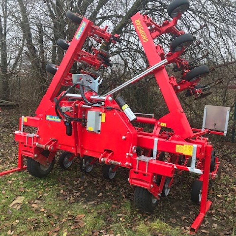 Striegeltechnik & Hacktechnik of the type Einböck Chopstar, Gebrauchtmaschine in Diemelsee (Picture 9)