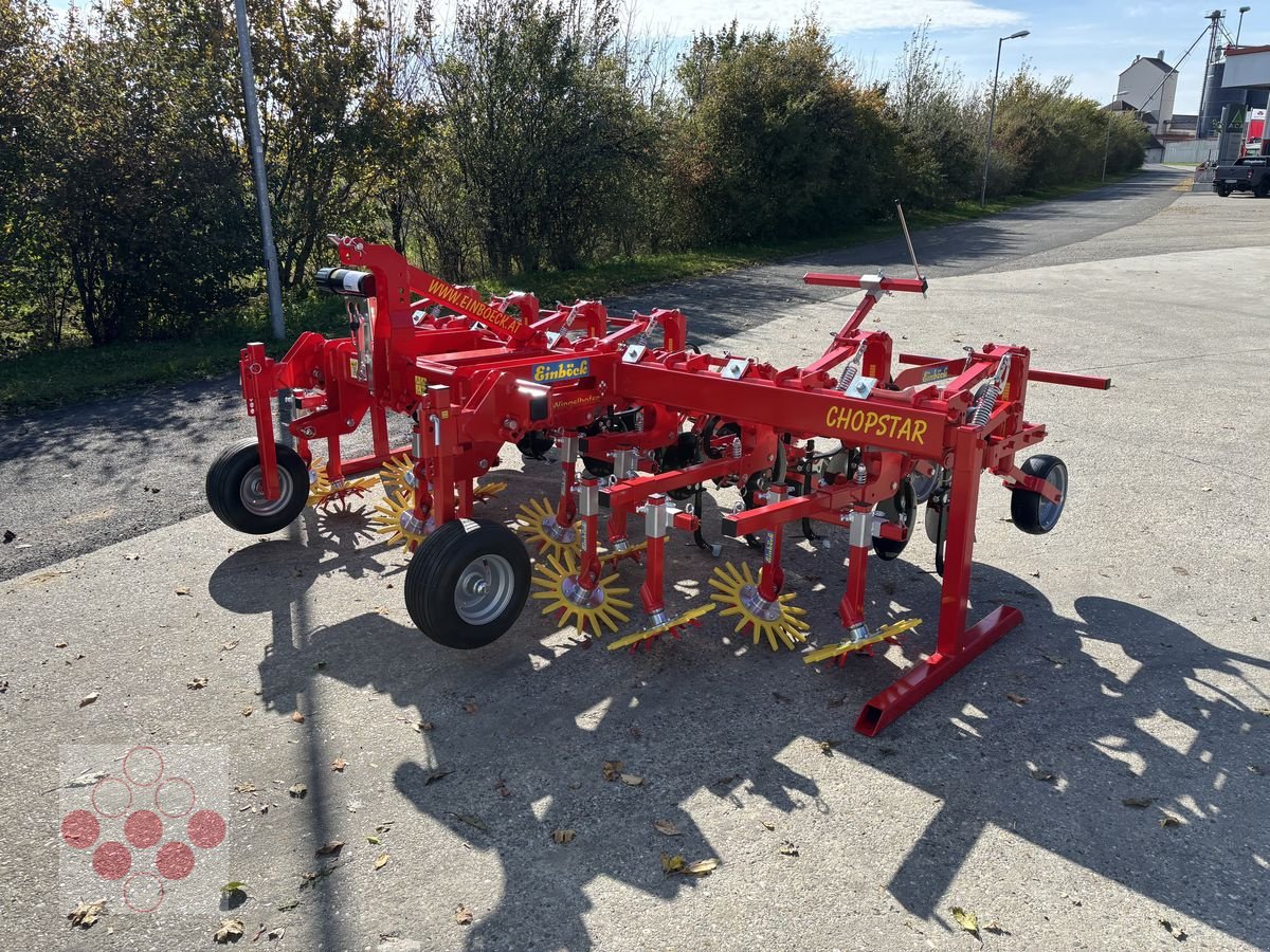 Striegeltechnik & Hacktechnik za tip Einböck Hackgerät Chopstar 3-60 6-reihig, Neumaschine u Starrein (Slika 4)