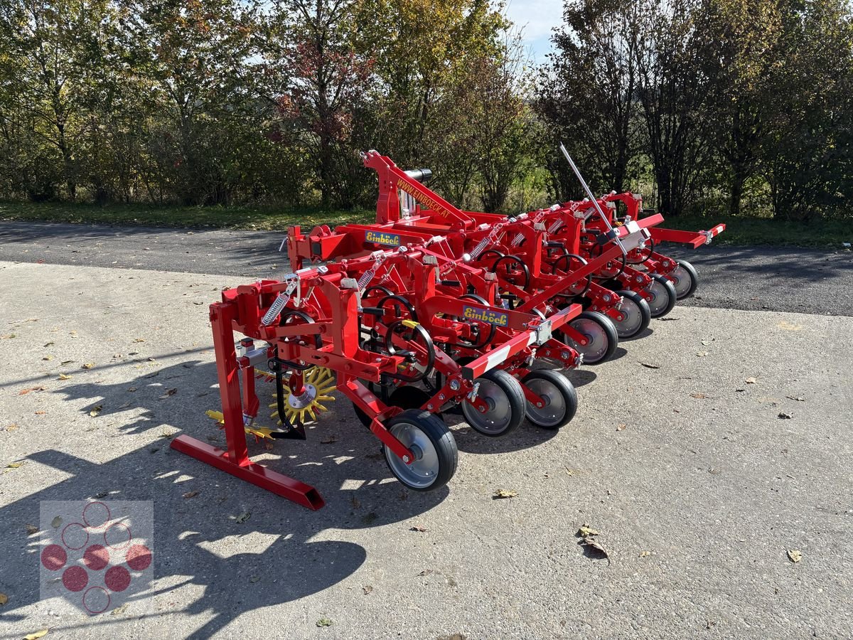 Striegeltechnik & Hacktechnik za tip Einböck Hackgerät Chopstar 3-60 6-reihig, Neumaschine u Starrein (Slika 5)