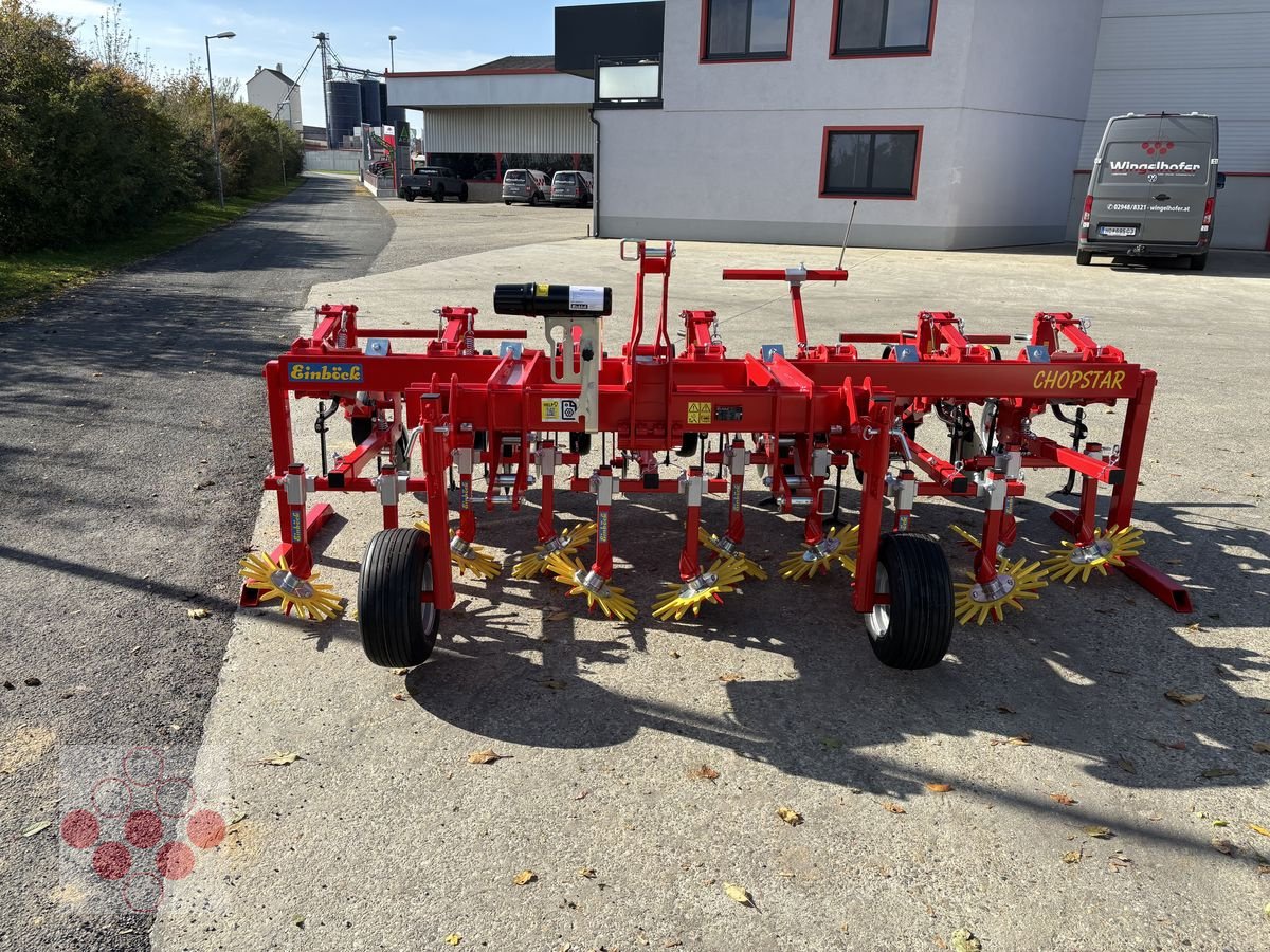 Striegeltechnik & Hacktechnik za tip Einböck Hackgerät Chopstar 3-60 6-reihig, Neumaschine u Starrein (Slika 3)