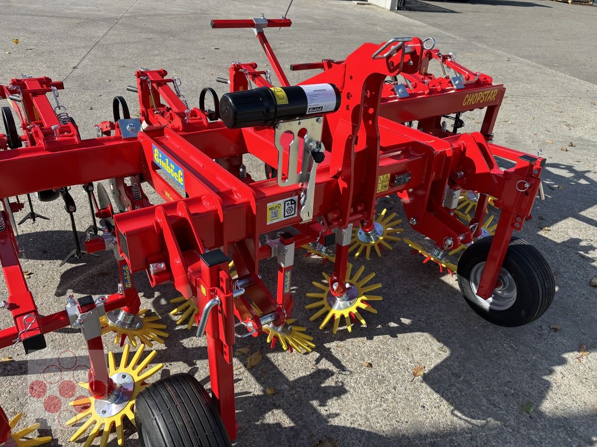 Striegeltechnik & Hacktechnik za tip Einböck Hackgerät Chopstar 3-60 6-reihig, Neumaschine u Starrein (Slika 14)
