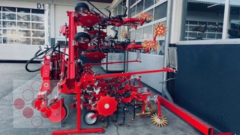 Striegeltechnik & Hacktechnik del tipo Einböck Hackgerät Chopstar Prime 7x70cm, Gebrauchtmaschine en Starrein (Imagen 4)