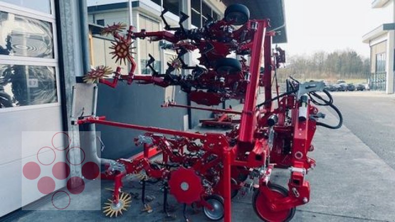 Striegeltechnik & Hacktechnik del tipo Einböck Hackgerät Chopstar Prime 7x70cm, Gebrauchtmaschine en Starrein (Imagen 9)