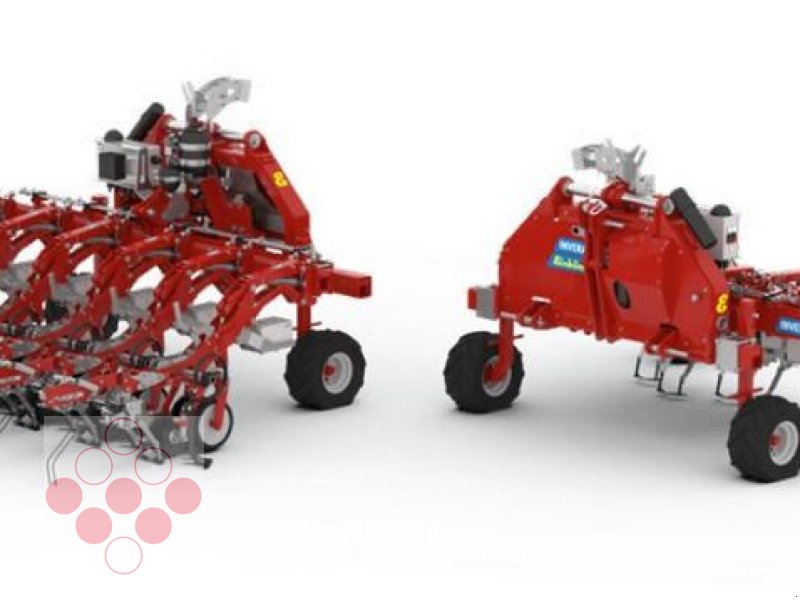 Striegeltechnik & Hacktechnik типа Einböck Invera 300  3x150cm, Neumaschine в Starrein (Фотография 1)