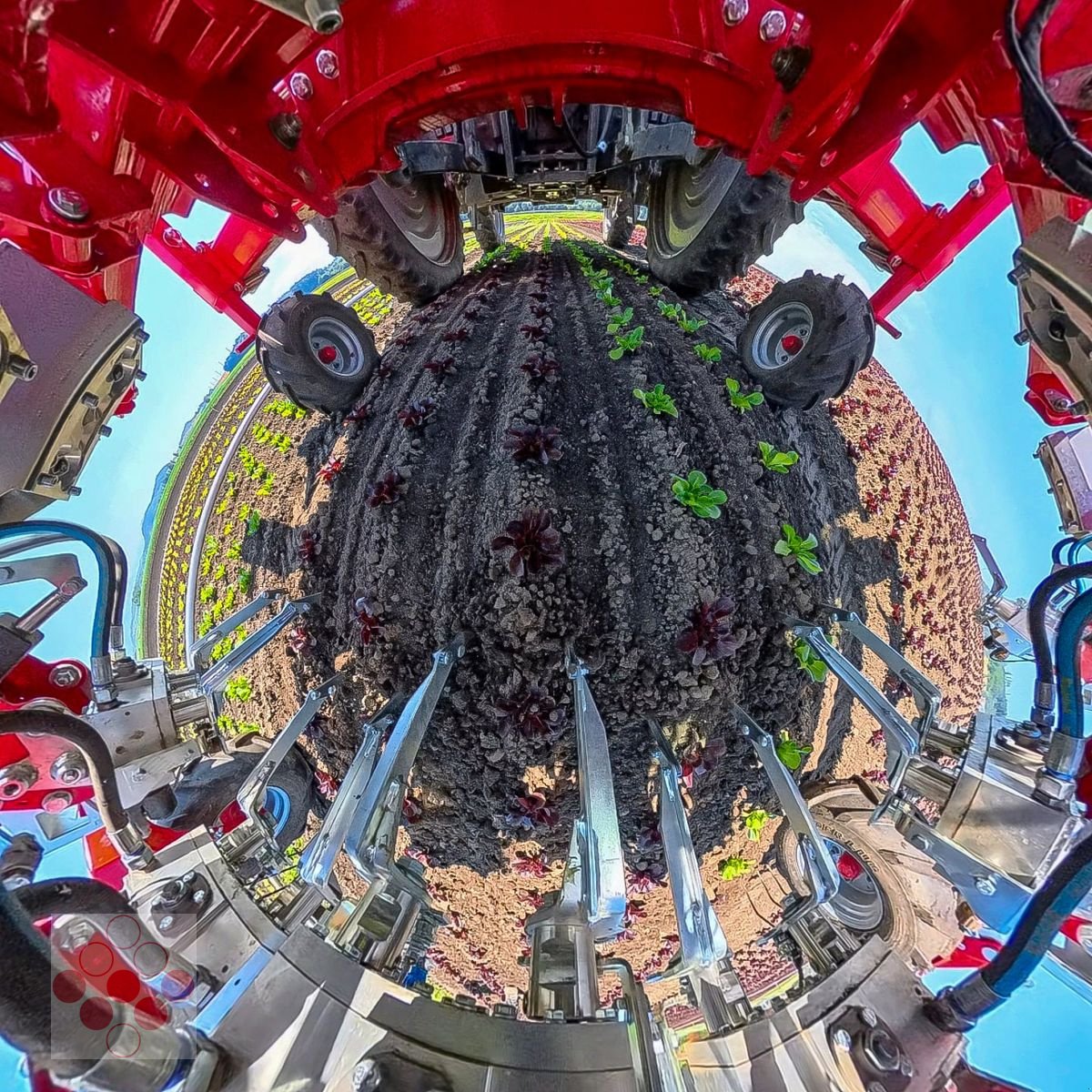 Striegeltechnik & Hacktechnik za tip Einböck Invera 450 6x75cm, Neumaschine u Starrein (Slika 3)