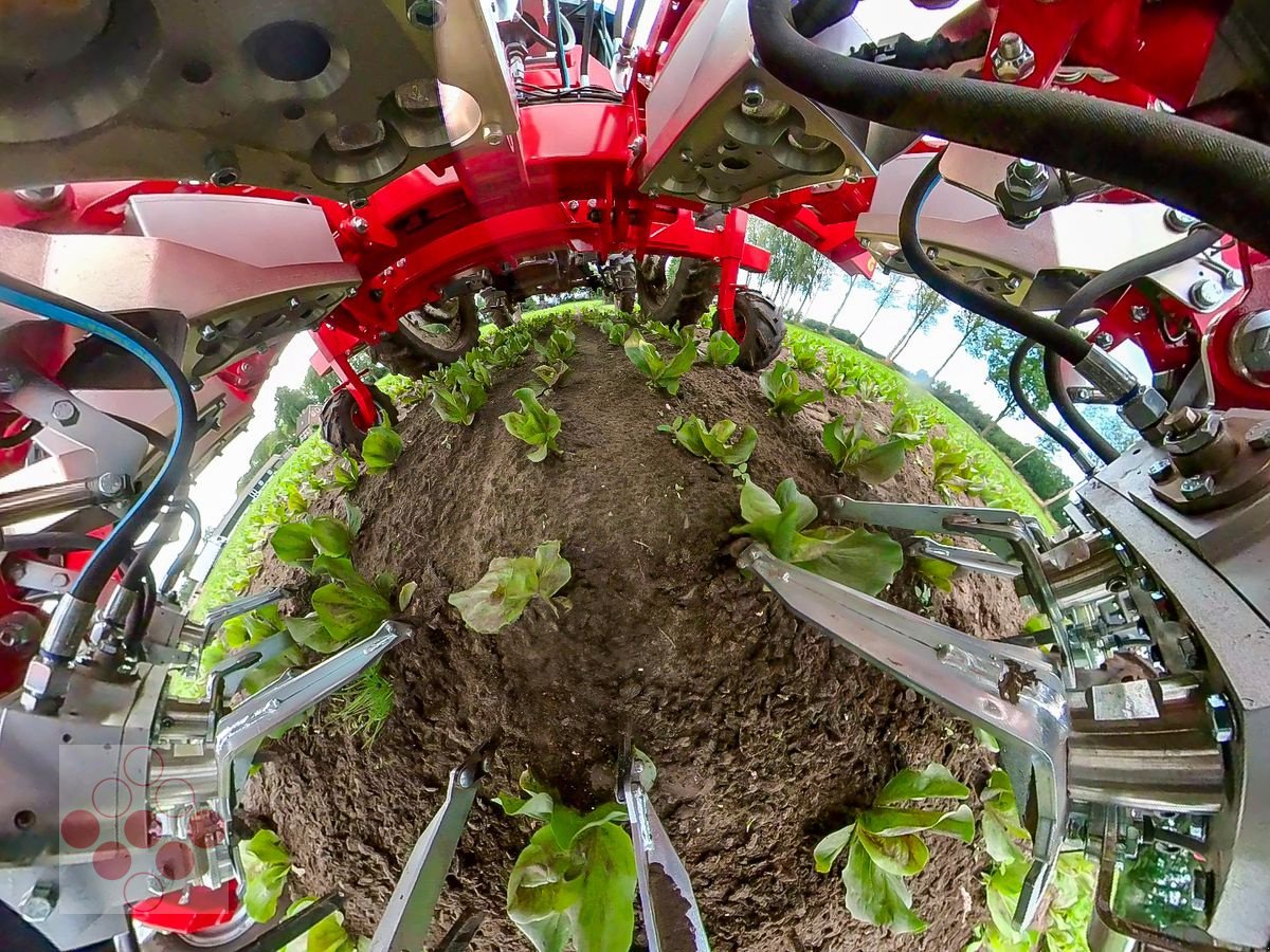 Striegeltechnik & Hacktechnik za tip Einböck Invera 450 6x75cm, Neumaschine u Starrein (Slika 6)