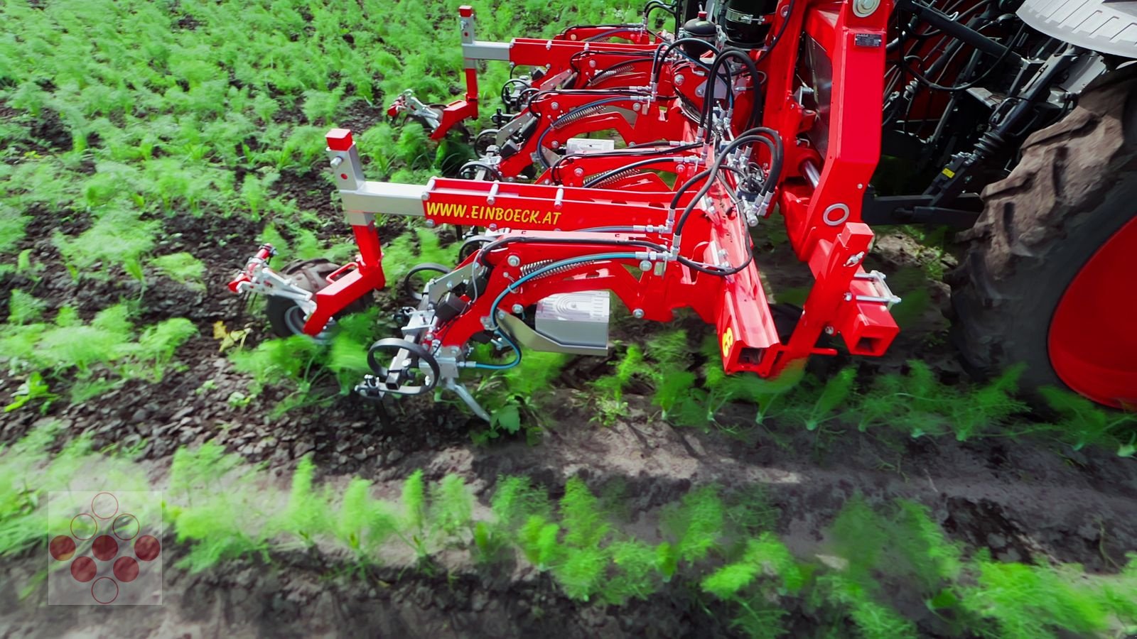 Striegeltechnik & Hacktechnik za tip Einböck Invera 450 6x75cm, Neumaschine u Starrein (Slika 2)