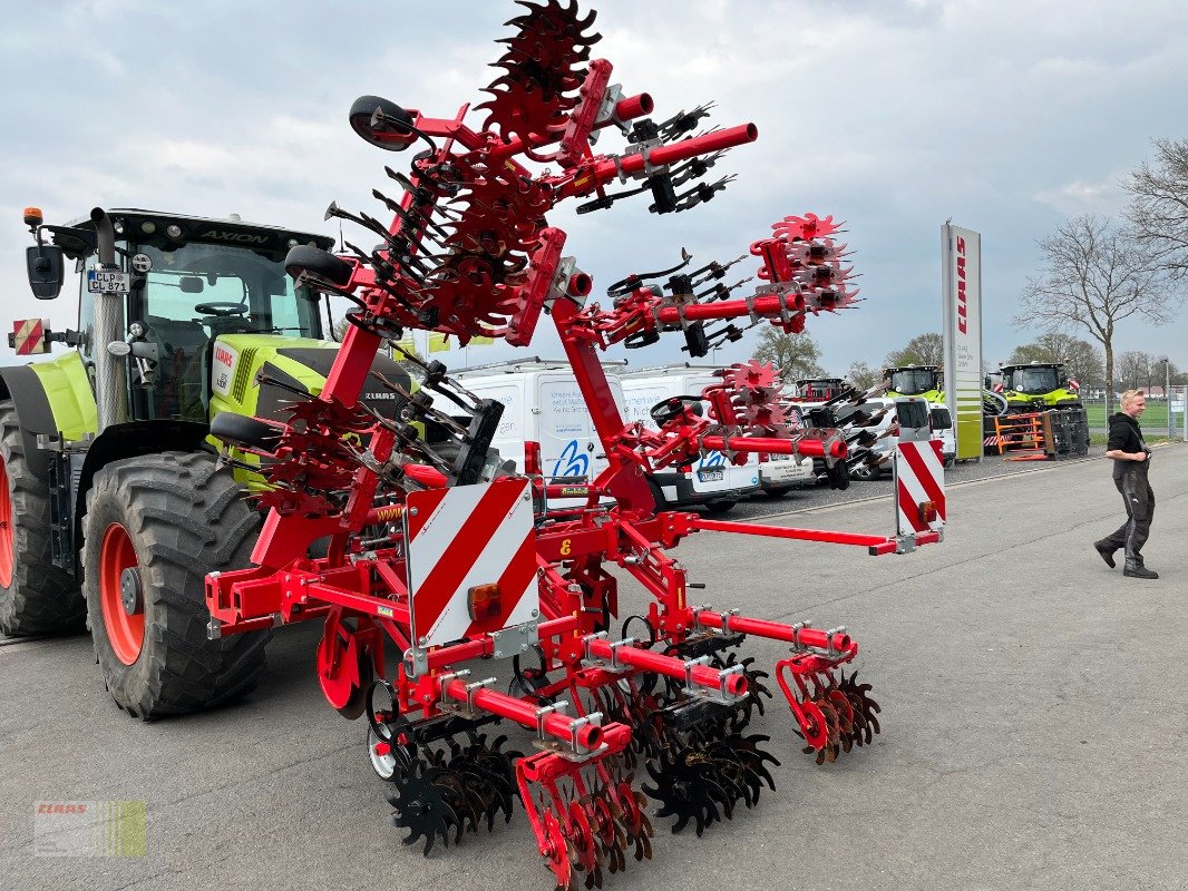 Striegeltechnik & Hacktechnik of the type Einböck ROLLSTAR EMR 8 -reiher Rollsternhackgerät, Maishacke, Gebrauchtmaschine in Molbergen (Picture 4)