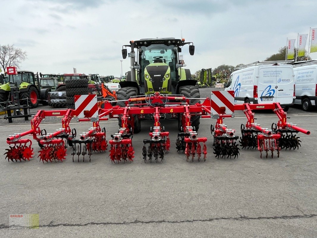 Striegeltechnik & Hacktechnik of the type Einböck ROLLSTAR EMR 8 -reiher Rollsternhackgerät, Maishacke, Gebrauchtmaschine in Molbergen (Picture 5)