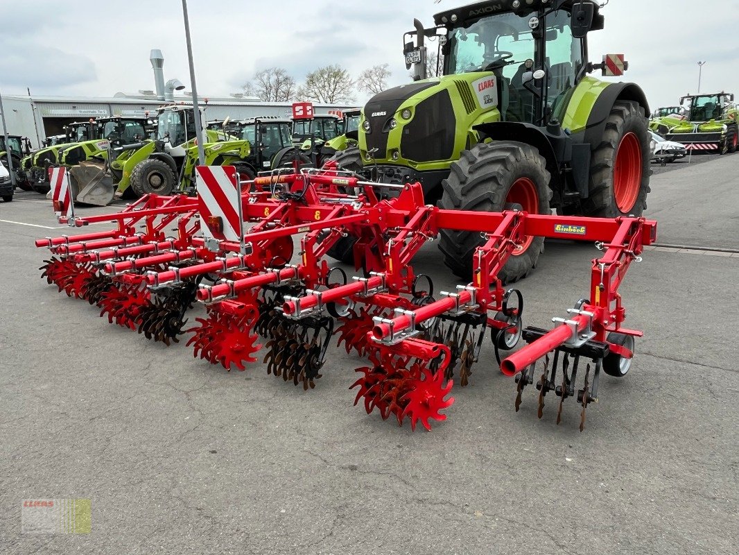 Striegeltechnik & Hacktechnik of the type Einböck ROLLSTAR EMR 8 -reiher Rollsternhackgerät, Maishacke, Gebrauchtmaschine in Molbergen (Picture 7)