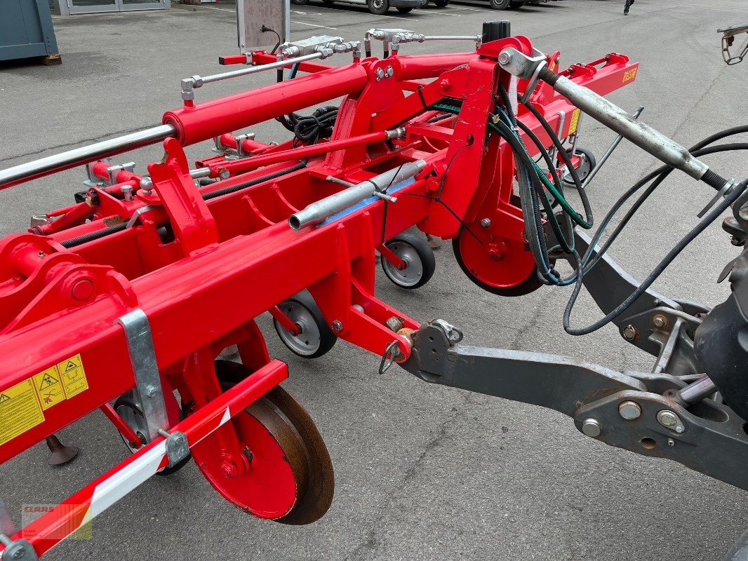 Striegeltechnik & Hacktechnik of the type Einböck ROLLSTAR EMR 8 -reiher Rollsternhackgerät, Maishacke, Gebrauchtmaschine in Molbergen (Picture 10)