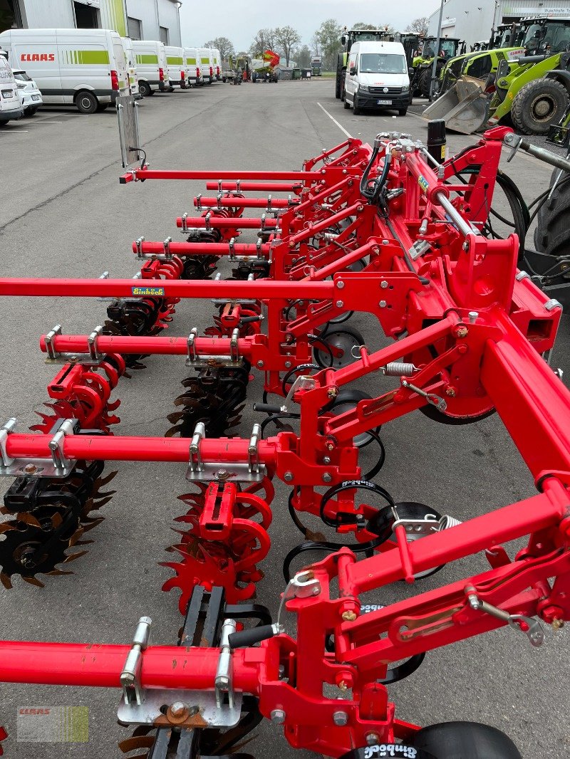 Striegeltechnik & Hacktechnik of the type Einböck ROLLSTAR EMR 8 -reiher Rollsternhackgerät, Maishacke, Gebrauchtmaschine in Molbergen (Picture 12)