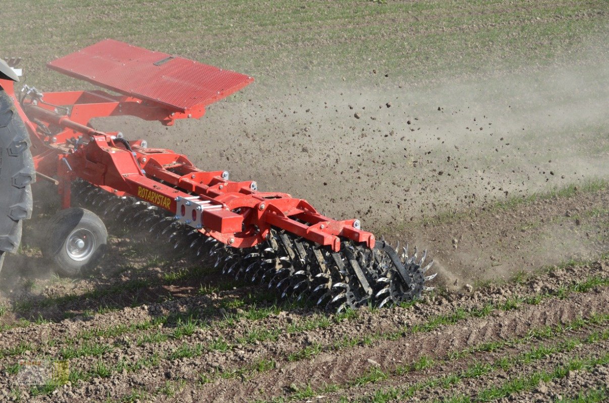 Striegeltechnik & Hacktechnik tipa Einböck Rotarystar 600, Gebrauchtmaschine u Reinheim (Slika 2)