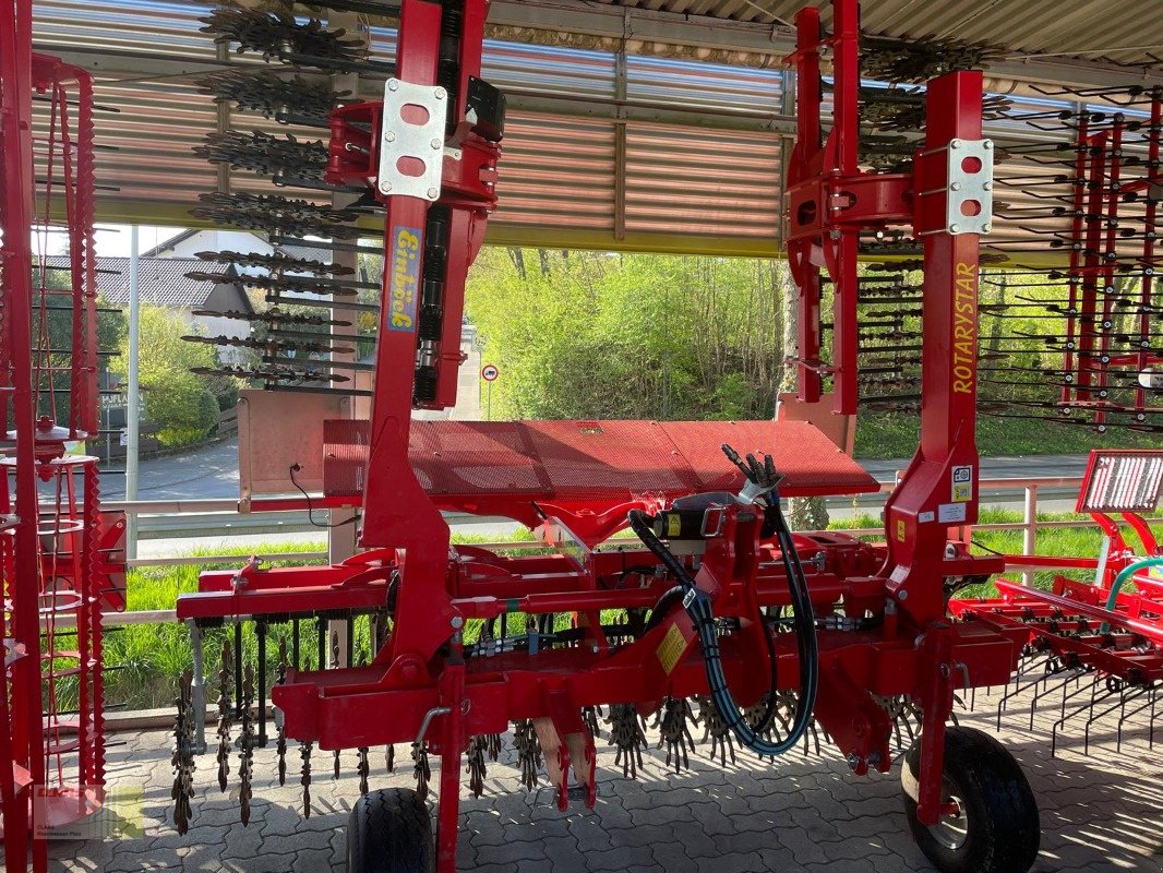 Striegeltechnik & Hacktechnik tipa Einböck Rotarystar 600, Gebrauchtmaschine u Reinheim (Slika 1)