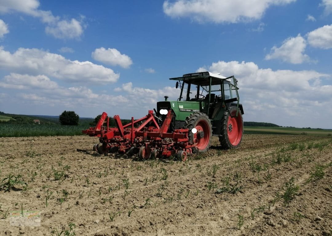 Striegeltechnik & Hacktechnik des Typs Gaspardo Hackgerät, Gebrauchtmaschine in Bad Mergentheim (Bild 1)