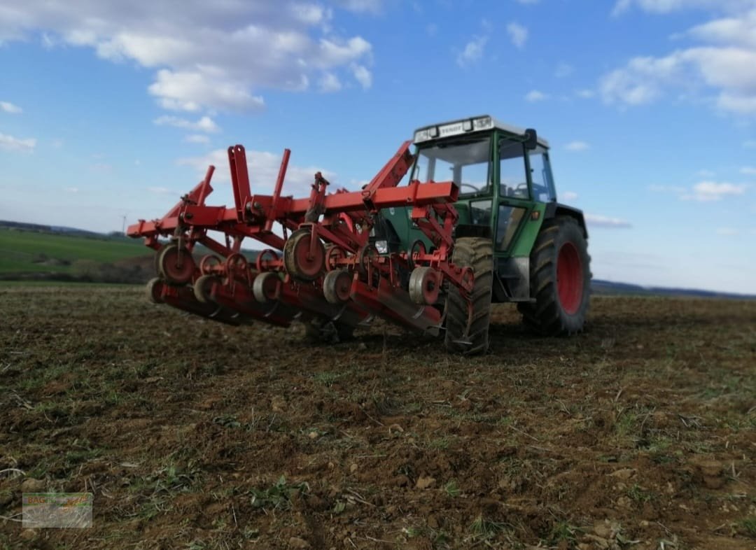 Striegeltechnik & Hacktechnik des Typs Gaspardo Hackgerät, Gebrauchtmaschine in Bad Mergentheim (Bild 2)