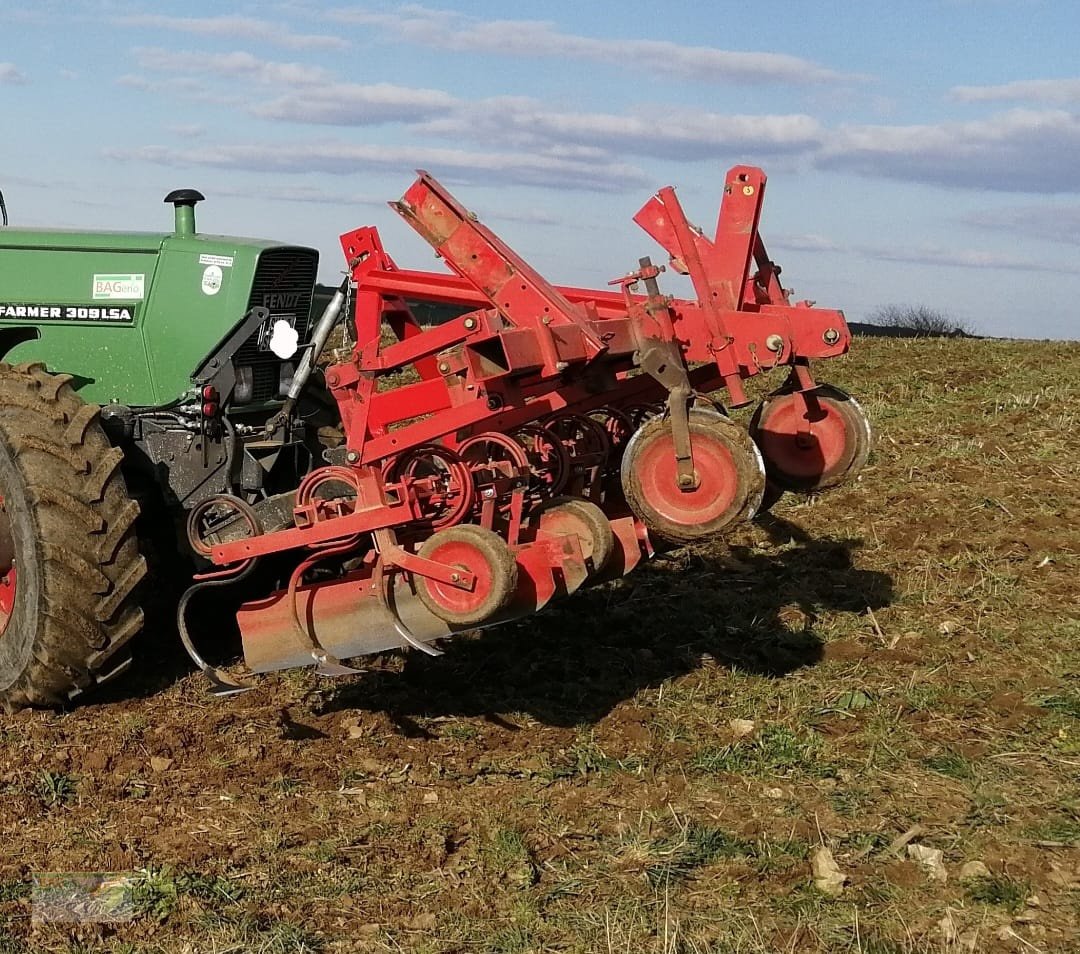Striegeltechnik & Hacktechnik des Typs Gaspardo Hackgerät, Gebrauchtmaschine in Bad Mergentheim (Bild 3)