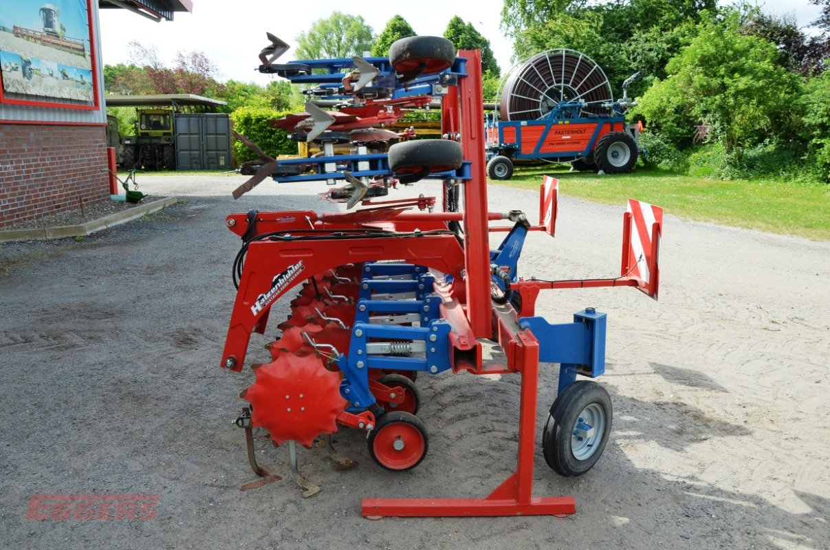 Striegeltechnik & Hacktechnik del tipo Hatzenbichler Hackstriegel 4mtr. 8-Reihen, Gebrauchtmaschine In Suhlendorf (Immagine 2)