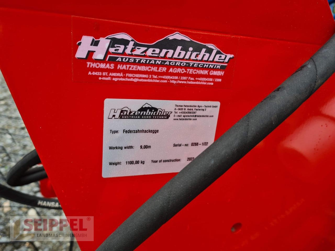 Striegeltechnik & Hacktechnik des Typs Hatzenbichler ORIGINAL-STRIEGEL 9m, Neumaschine in Groß-Umstadt (Bild 6)