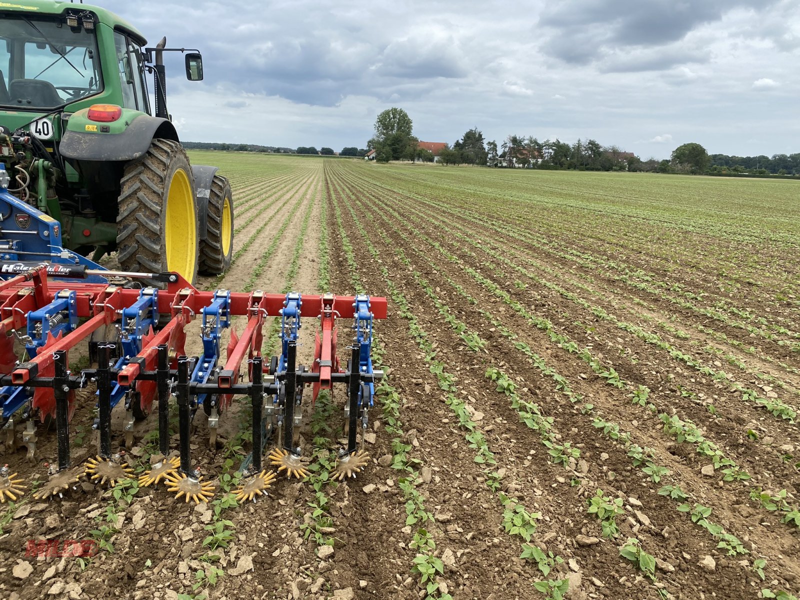 Striegeltechnik & Hacktechnik a típus Hatzenbichler Rübenhacke 12 Rhg, Gebrauchtmaschine ekkor: Gebenbach (Kép 11)