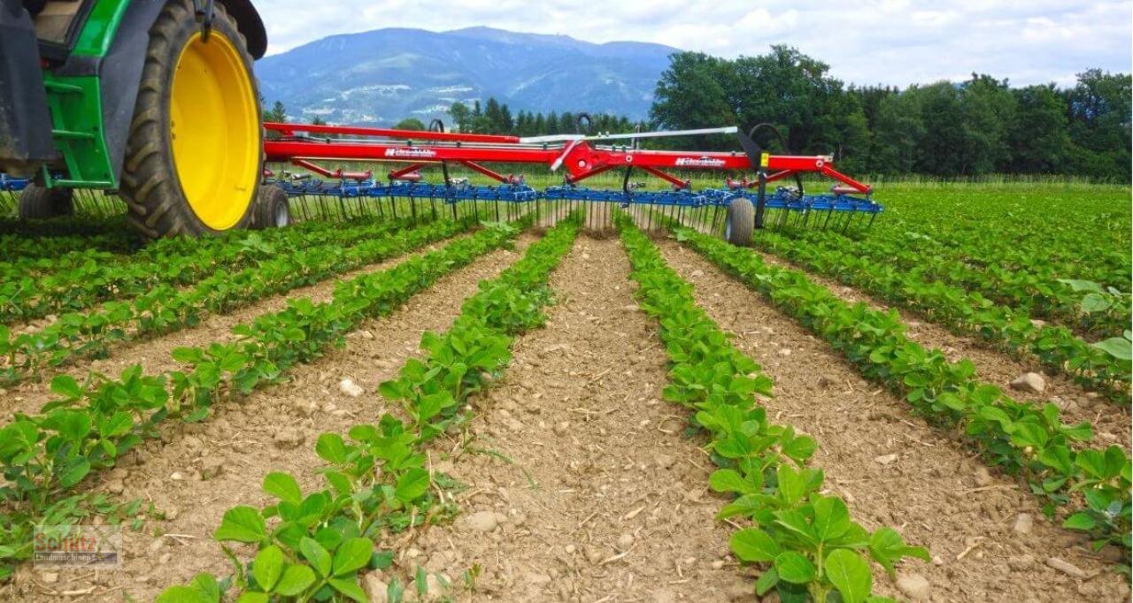 Striegeltechnik & Hacktechnik del tipo Hatzenbichler Striegel NEU, UNBENUTZT mit hydraulischer Druckverstellung, 12m AB, Hatzenbichler Striegel, Gebrauchtmaschine In Schierling (Immagine 10)