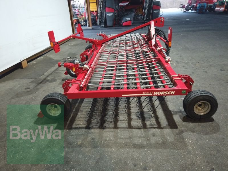 Striegeltechnik & Hacktechnik of the type Horsch CURA 6 ST STRIEGEL, Vorführmaschine in Erbach (Picture 4)