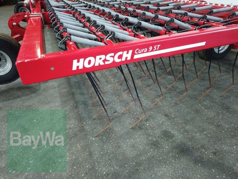 Striegeltechnik & Hacktechnik of the type Horsch CURA 9 ST, Vorführmaschine in Erbach (Picture 15)