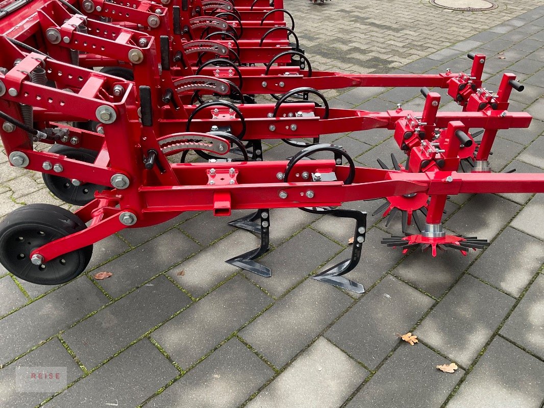 Striegeltechnik & Hacktechnik del tipo Horsch TRANSFORMER 6 VF, Neumaschine In Lippetal / Herzfeld (Immagine 18)