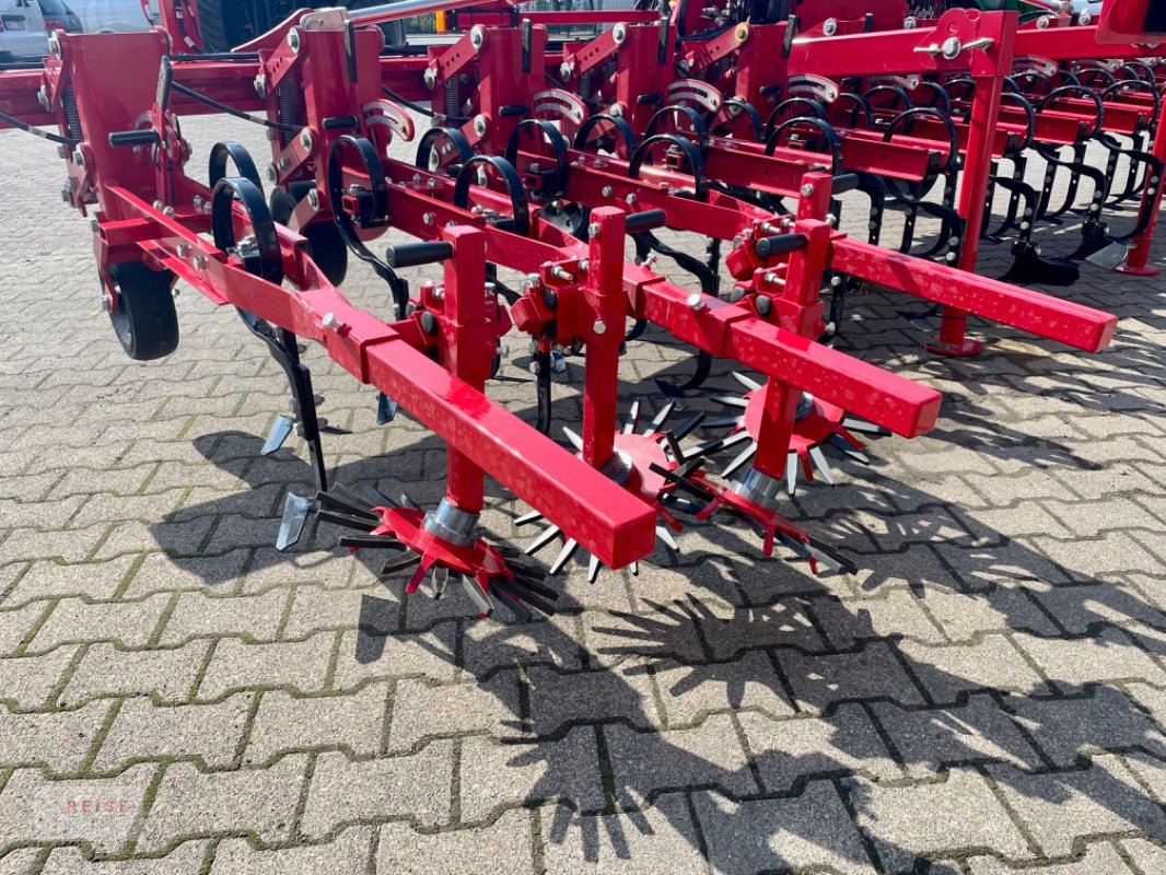 Striegeltechnik & Hacktechnik tip Horsch TRANSFORMER 6 VF, Neumaschine in Lippetal / Herzfeld (Poză 10)