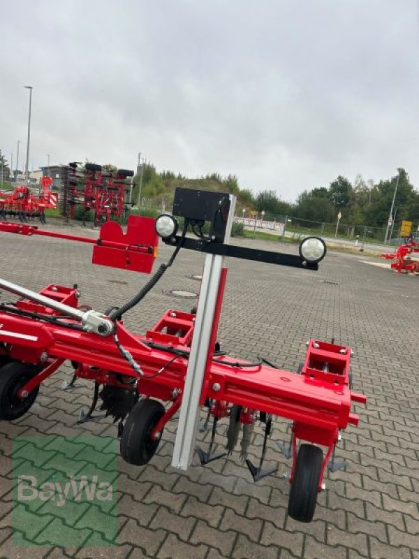 Striegeltechnik & Hacktechnik des Typs Horsch TRANSFORMER 6 VF, Neumaschine in Hoechstaedt (Bild 13)