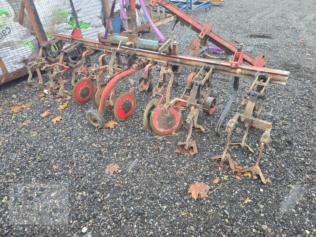 Striegeltechnik & Hacktechnik a típus Kverneland Hackrahmen Accord 3m, Gebrauchtmaschine ekkor: Burg/Spreewald (Kép 1)