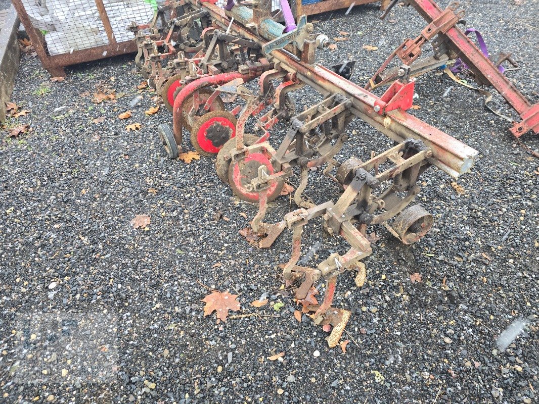 Striegeltechnik & Hacktechnik a típus Kverneland Hackrahmen Accord 3m, Gebrauchtmaschine ekkor: Burg/Spreewald (Kép 2)