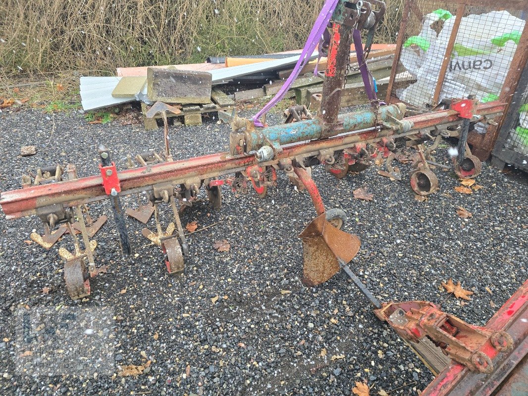 Striegeltechnik & Hacktechnik a típus Kverneland Hackrahmen Accord 3m, Gebrauchtmaschine ekkor: Burg/Spreewald (Kép 5)