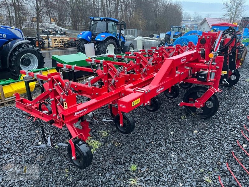 Striegeltechnik & Hacktechnik от тип Lemken EC Weeder 8 Steketee, Neumaschine в Neuhof - Dorfborn