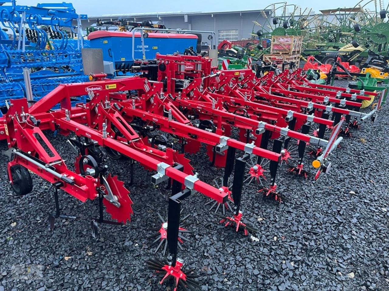 Striegeltechnik & Hacktechnik от тип Lemken EC Weeder 8 Steketee, Neumaschine в Neuhof - Dorfborn (Снимка 4)