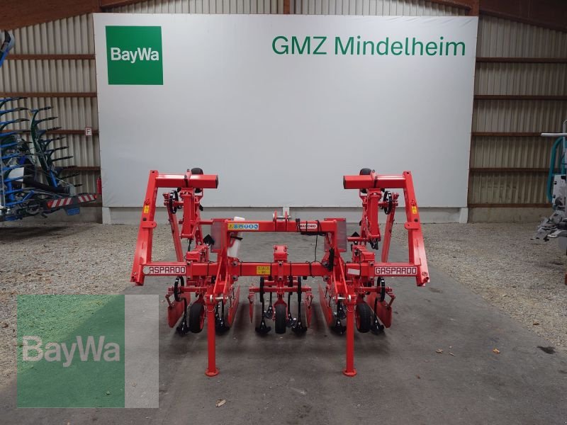Striegeltechnik & Hacktechnik typu Maschio HP 4F 70-80 5M/P, Gebrauchtmaschine v Mindelheim (Obrázek 1)