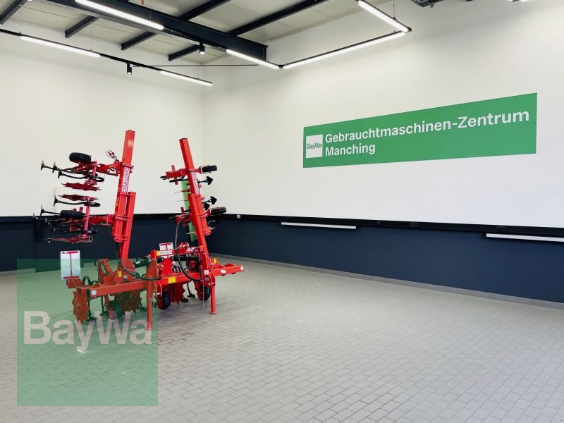 Striegeltechnik & Hacktechnik des Typs Maschio HS 6 5M, Gebrauchtmaschine in Manching (Bild 1)