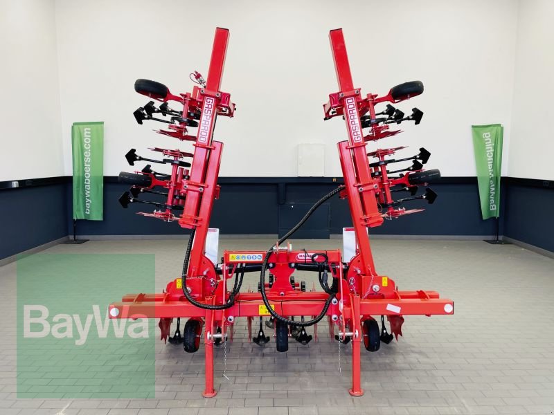 Striegeltechnik & Hacktechnik типа Maschio HS 6 5M, Gebrauchtmaschine в Manching (Фотография 11)
