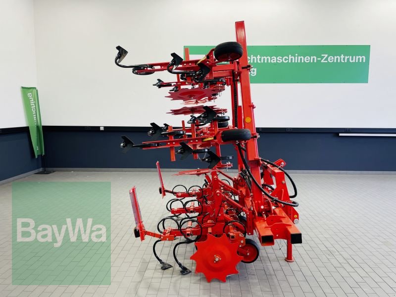 Striegeltechnik & Hacktechnik типа Maschio HS 6 5M, Gebrauchtmaschine в Manching (Фотография 4)