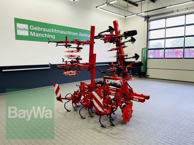 Striegeltechnik & Hacktechnik типа Maschio HS 6 5M, Gebrauchtmaschine в Manching (Фотография 5)