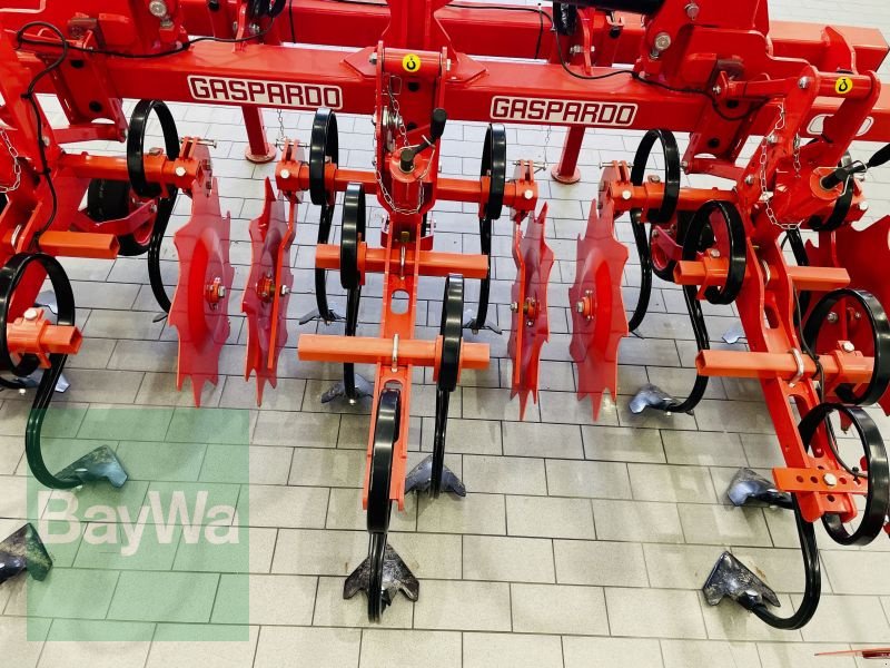 Striegeltechnik & Hacktechnik типа Maschio HS 6 5M, Gebrauchtmaschine в Manching (Фотография 13)