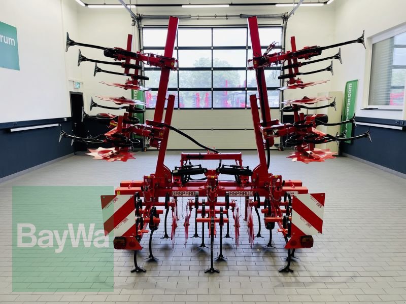 Striegeltechnik & Hacktechnik типа Maschio HS 6 5M, Gebrauchtmaschine в Manching (Фотография 7)