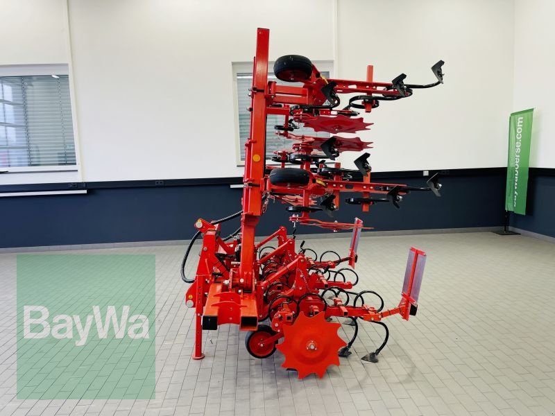 Striegeltechnik & Hacktechnik типа Maschio HS 6 5M, Gebrauchtmaschine в Manching (Фотография 9)