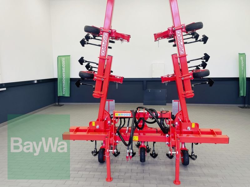 Striegeltechnik & Hacktechnik of the type Maschio HS 6, Gebrauchtmaschine in Manching (Picture 11)